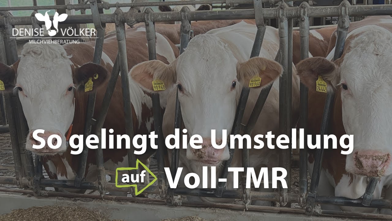 So gelingt die Umstellung auf Voll-TMR