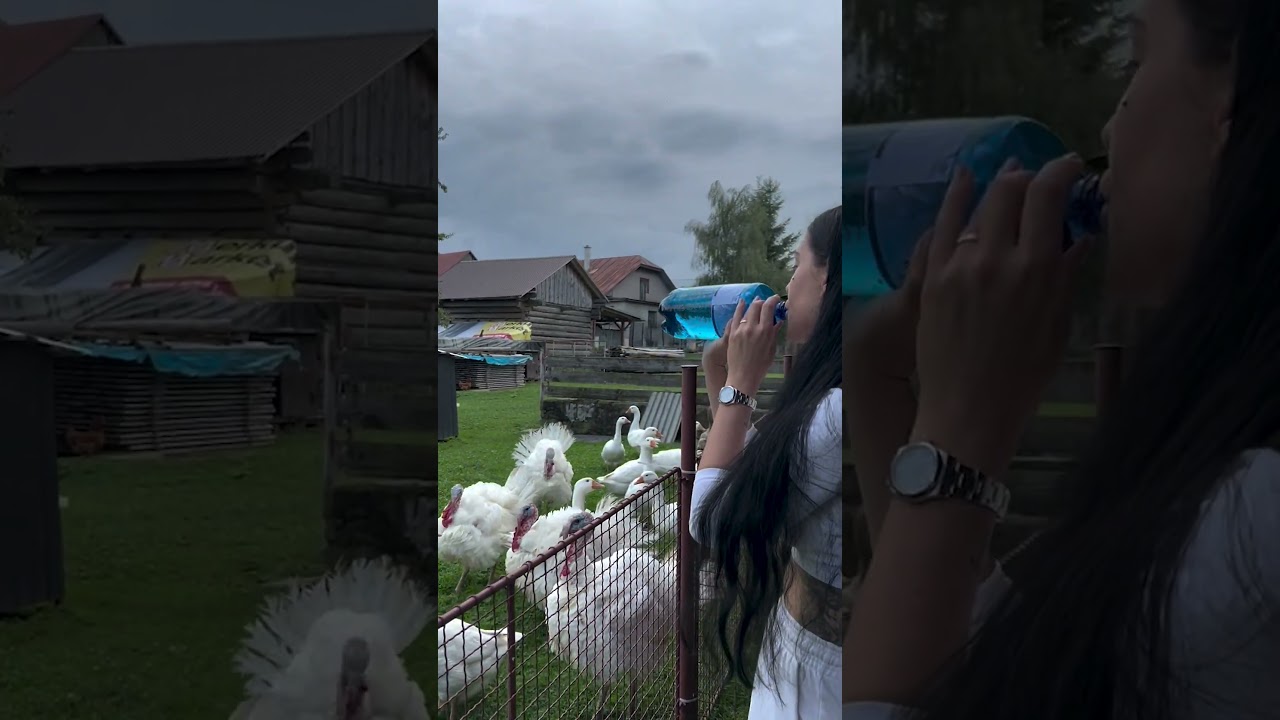 Woman Gobbles at Turkeys