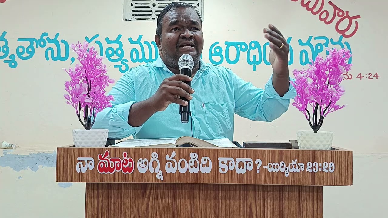 పావురము ప్రత్యేకమైనది 