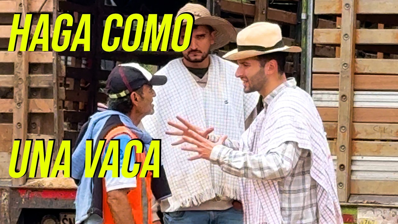 Buscando los Animalitos del Patrón