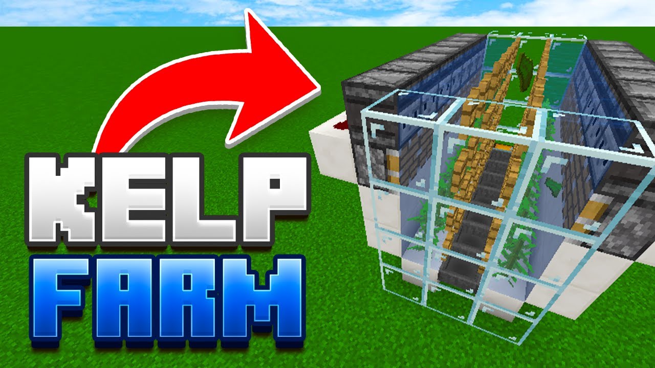 How to Make the BEST Kelp Farm on Donut SMP! (Working!)