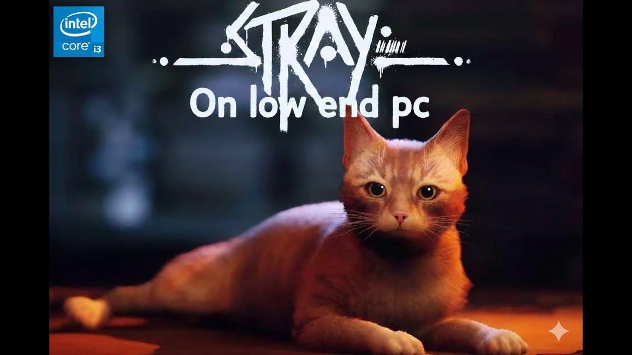Stray on Low-End PC | Intel i3-1220P + No GPU | Performance Test 🐈💻#stray #gamingtest