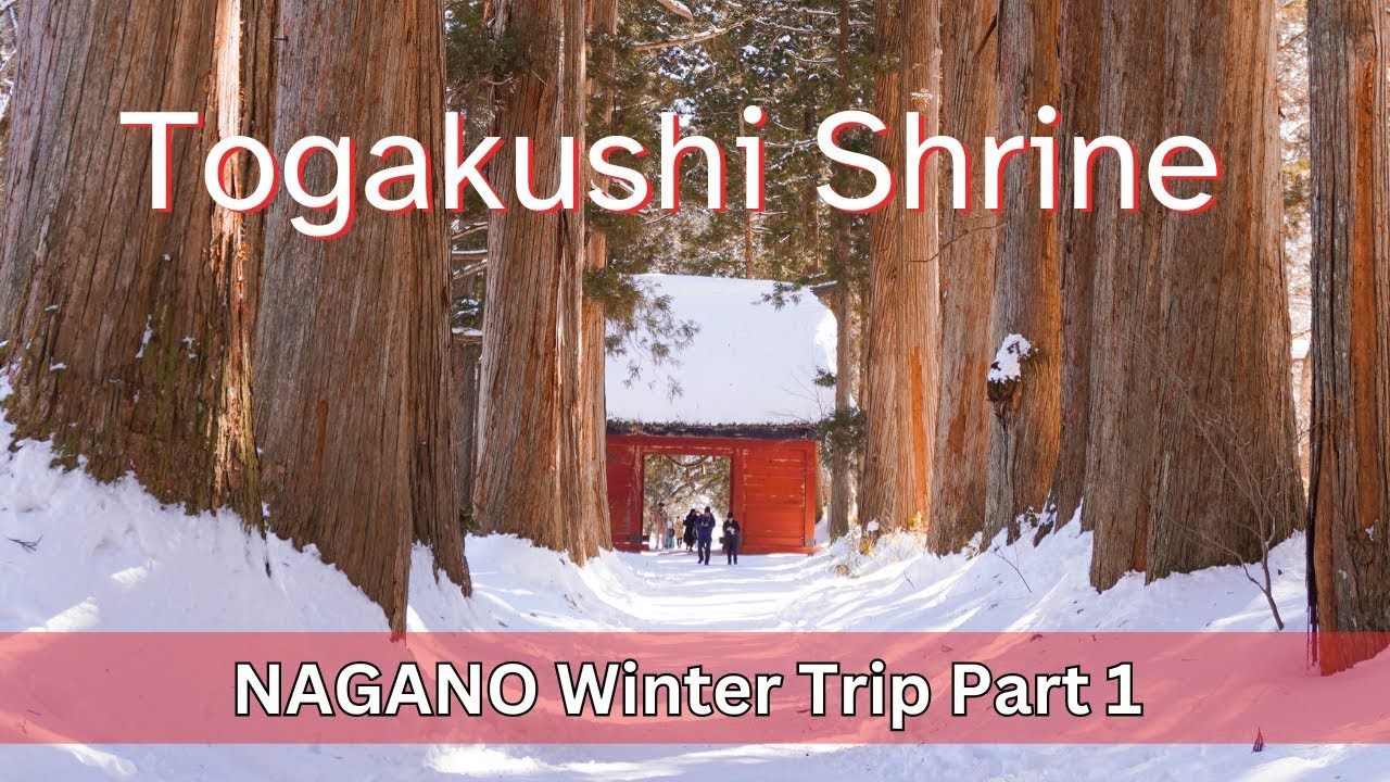 Hiking at Togakushi Shrine - Nagano Winter Trip Part 1