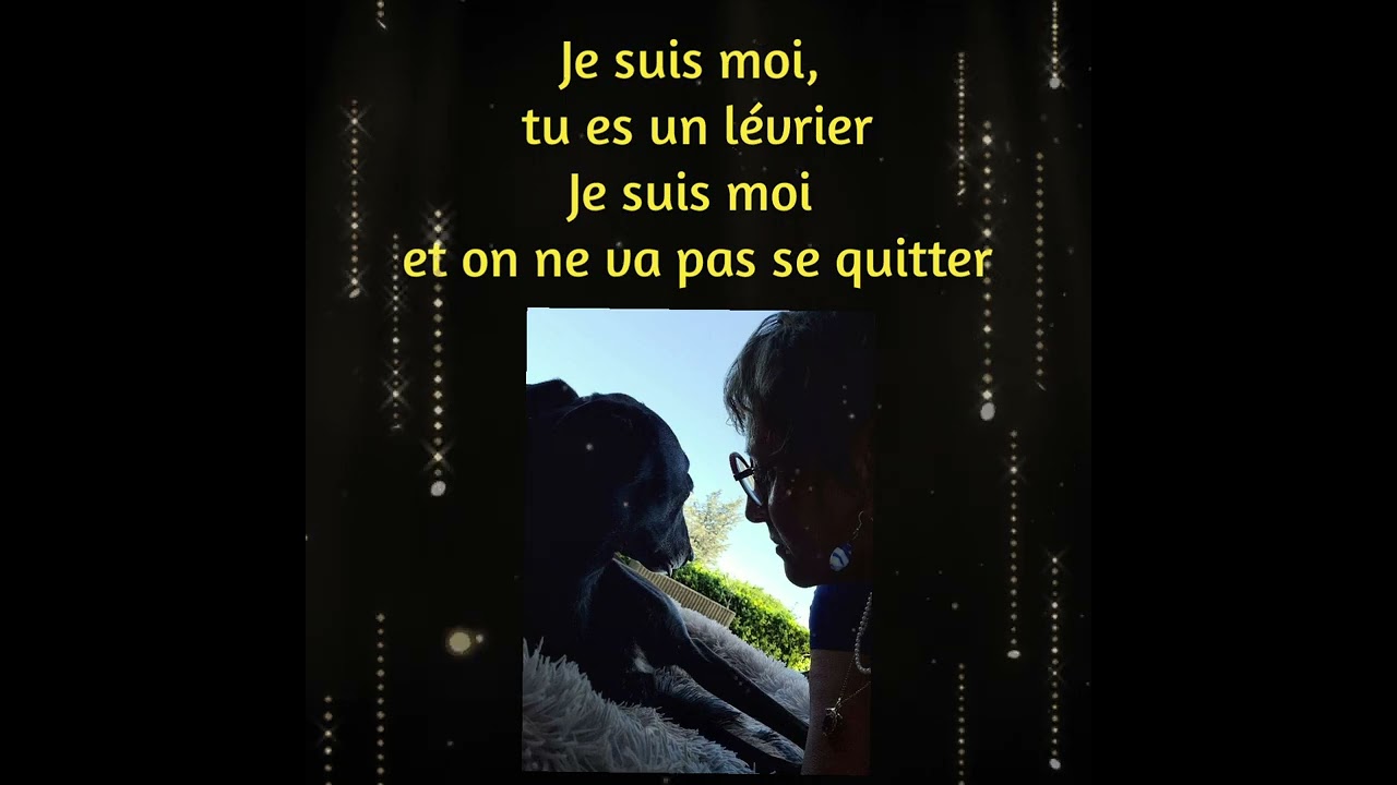 A nos amours de Lévriers