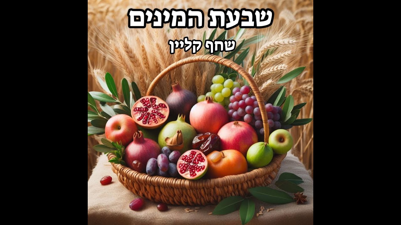 שבעת המינים- שחף קליין