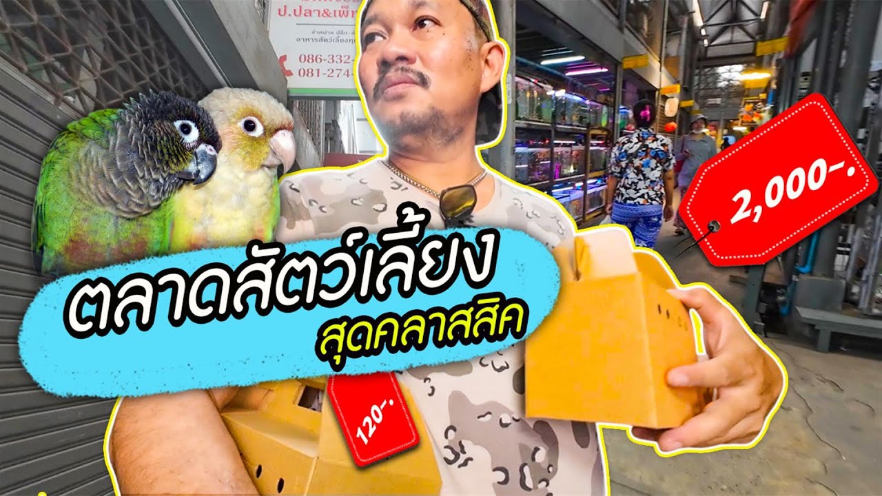 เดินตลาดสัตว์เลี้ยงมีนบุรี ได้สมาชิกใหม่มาเพิ่ม!
