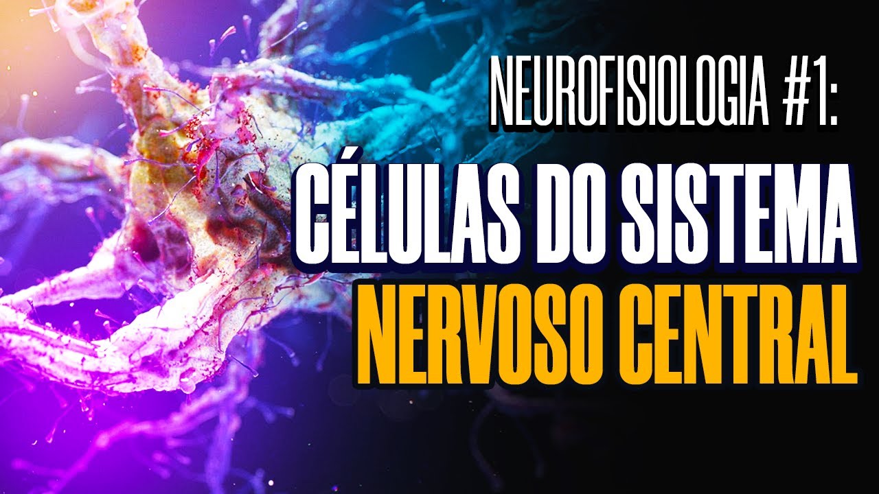 NEUROFISIOLOGIA #1: CÉLULAS DO SISTEMA NERVOSO
