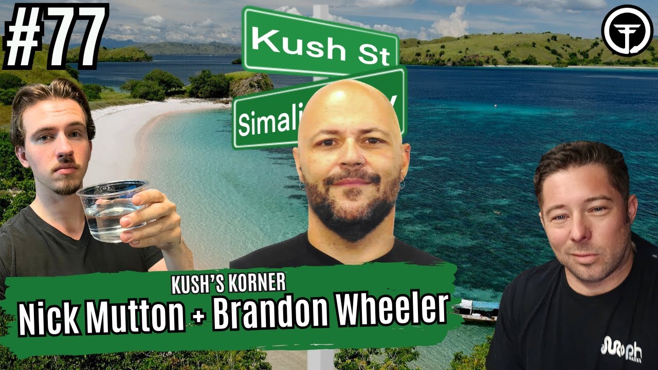 How Big Should Adult Scrub Pythons Really Be? | Kush's Korner Live