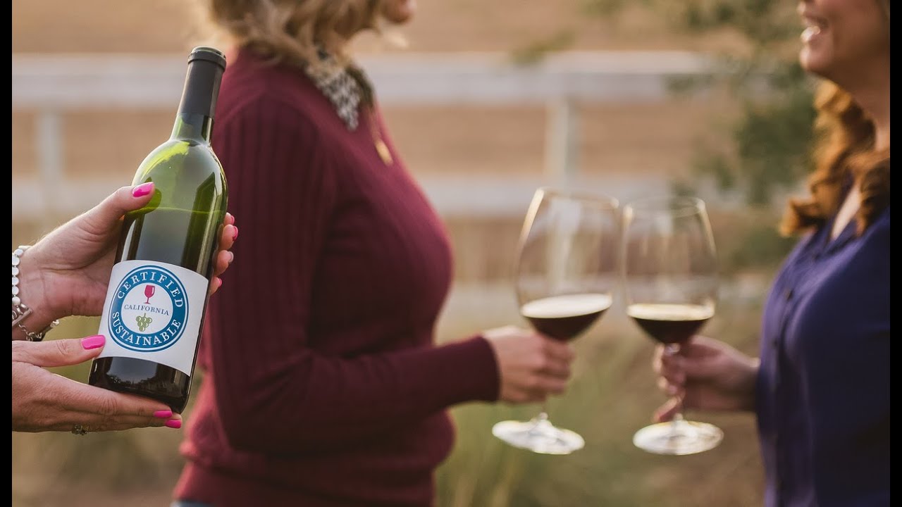 Deciphering Sustainability Certifications, Keywords + Logos: What is Sustainable Wine?