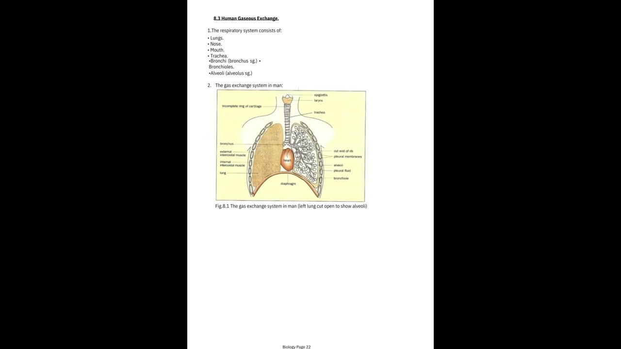 Biology O Level Notes pdf
