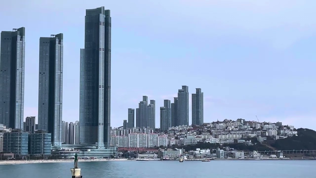 여기는 해운대95(2025년03월08일)