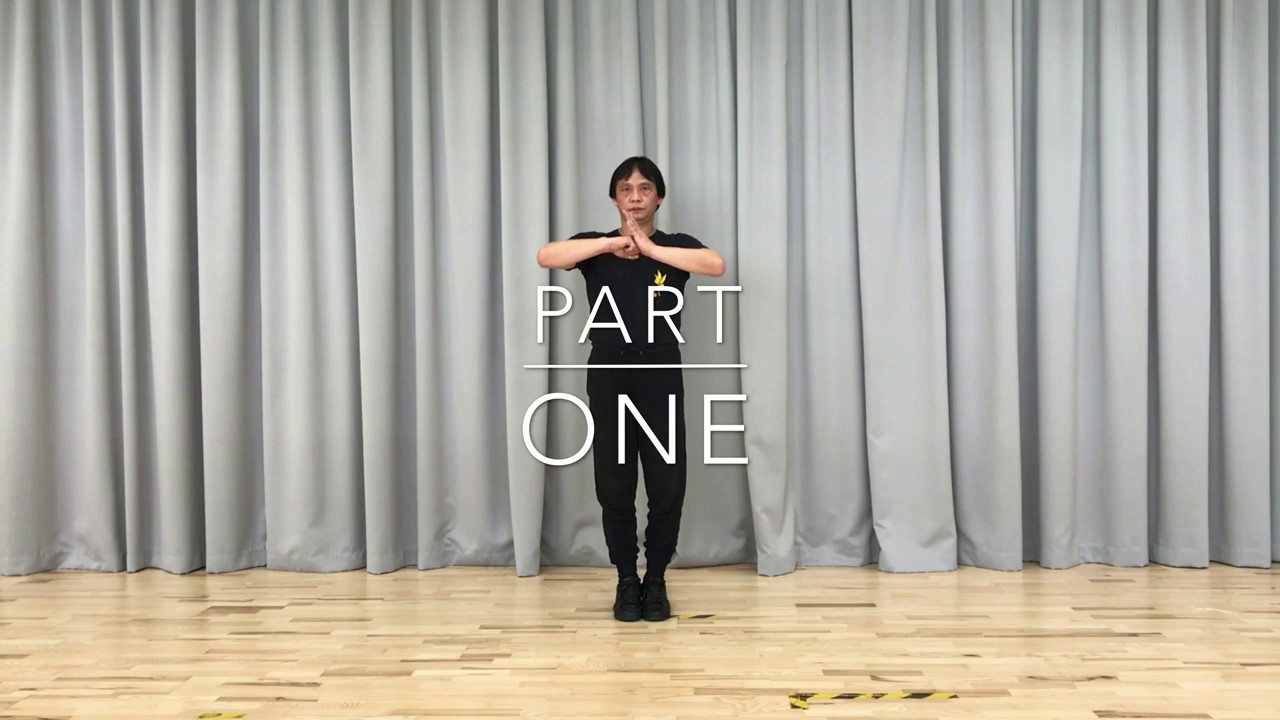 Second grade syllabus - step by step to build your fighting techniques