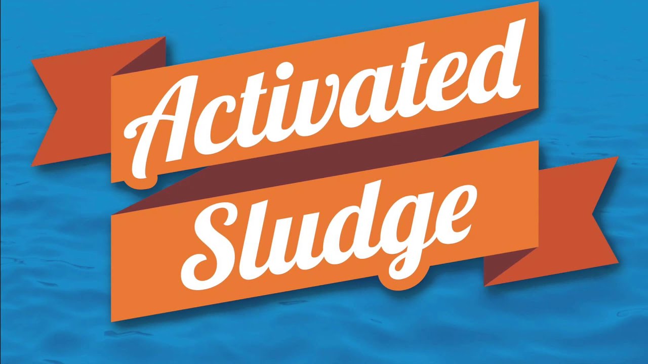 Reducing SVI & Foam in Activated Sludge Plants