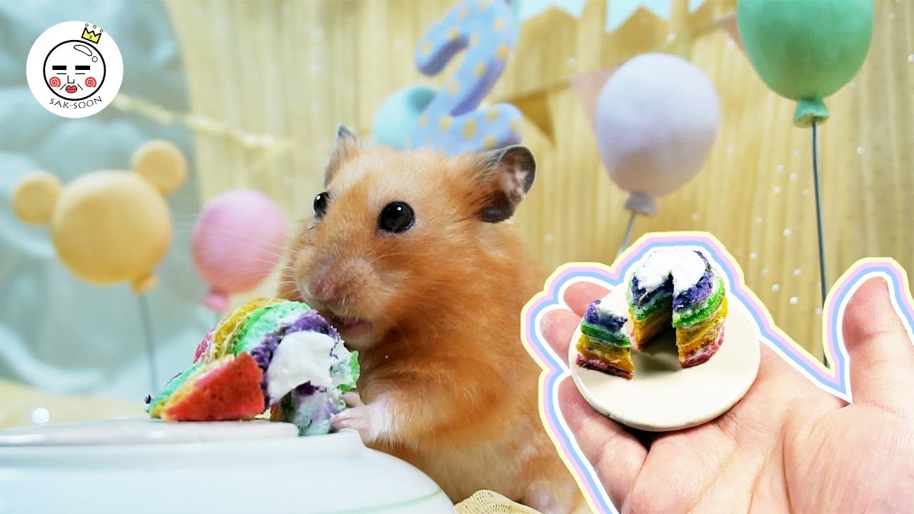 How To Make A Tiny Rainbow Cake For Hamsters | Taco's Birthday | Hamster Eating ASMR