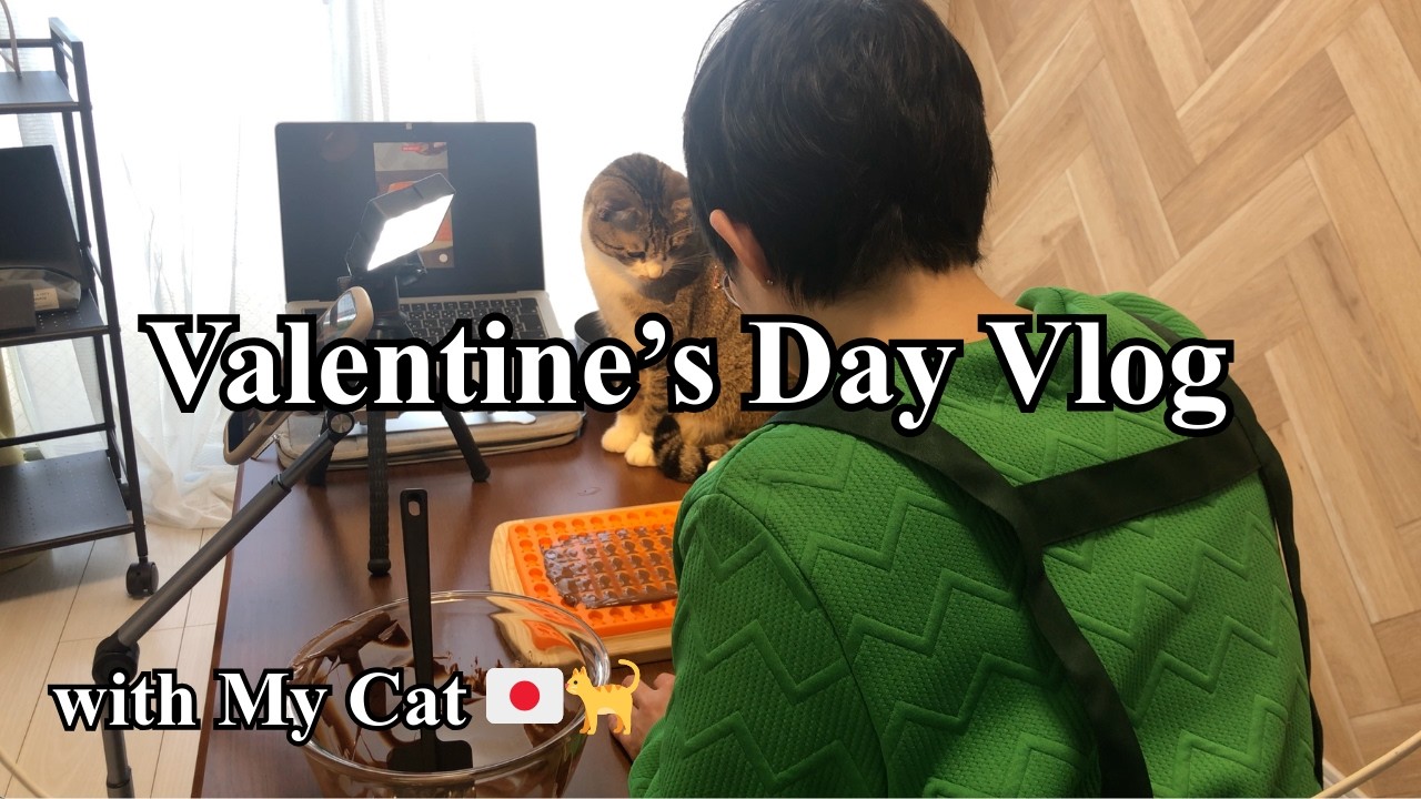【Vlog】Valentine’s Day | Filming in My Tiny Room with My Cat | Fish-Shaped Chocolate & Ice Cream 🐟🍫🍯🍨