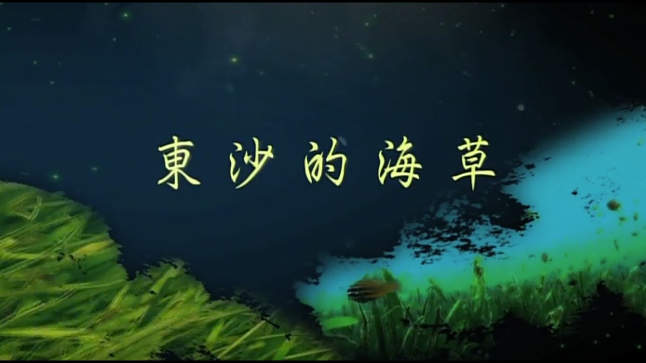 東沙海草(English ver.)