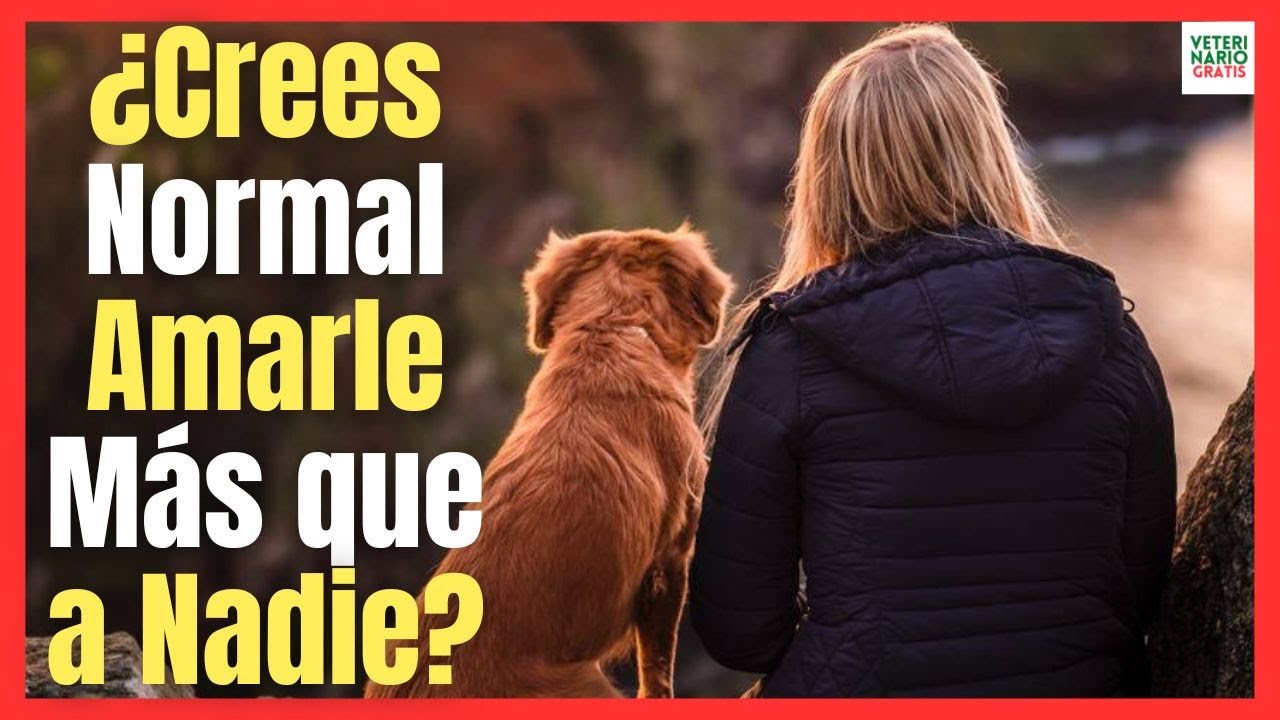 💖 ¿PORQUE AMO A MI PERRO MÁS QUE A NADIE? 💖