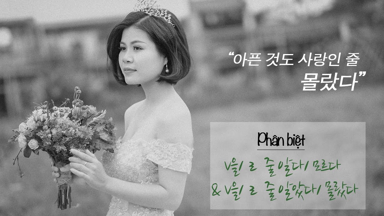 Phân biệt 을/ㄹ 줄 알다/ 모르다 và 는 줄 알았다/ 몰랐다 | Gia sư Tiếng Hàn Park HA