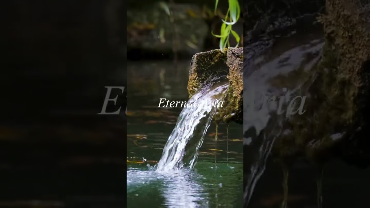 Relaxing  & Soothing Music for Focus, Peace and Daily Calm