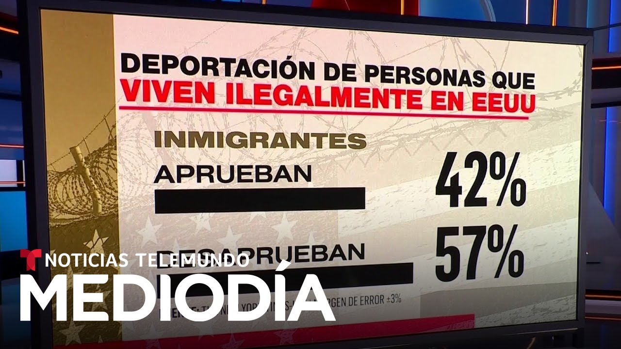 Encuesta: inmigrantes apoyan fronteras seguras, pero no deportaciones masivas | Noticias Telemundo