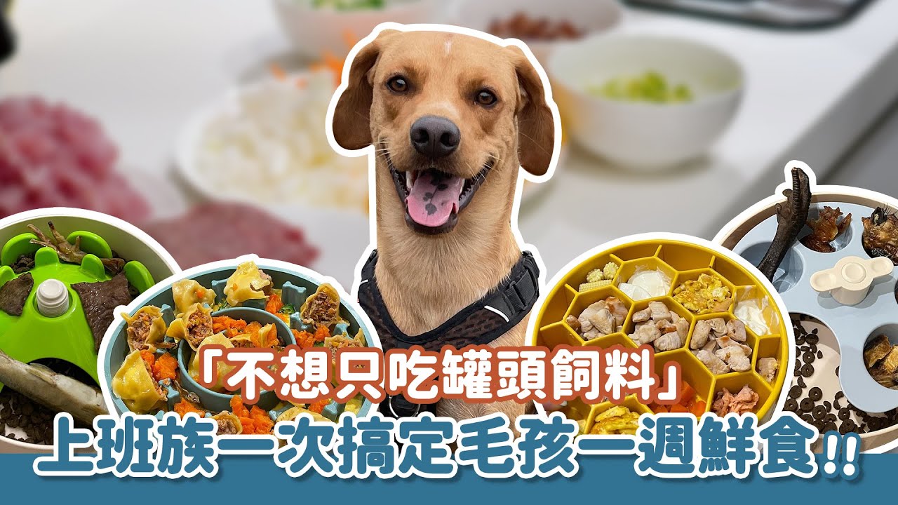 不想只吃罐頭飼料！上班族一次搞定毛孩一週鮮食！