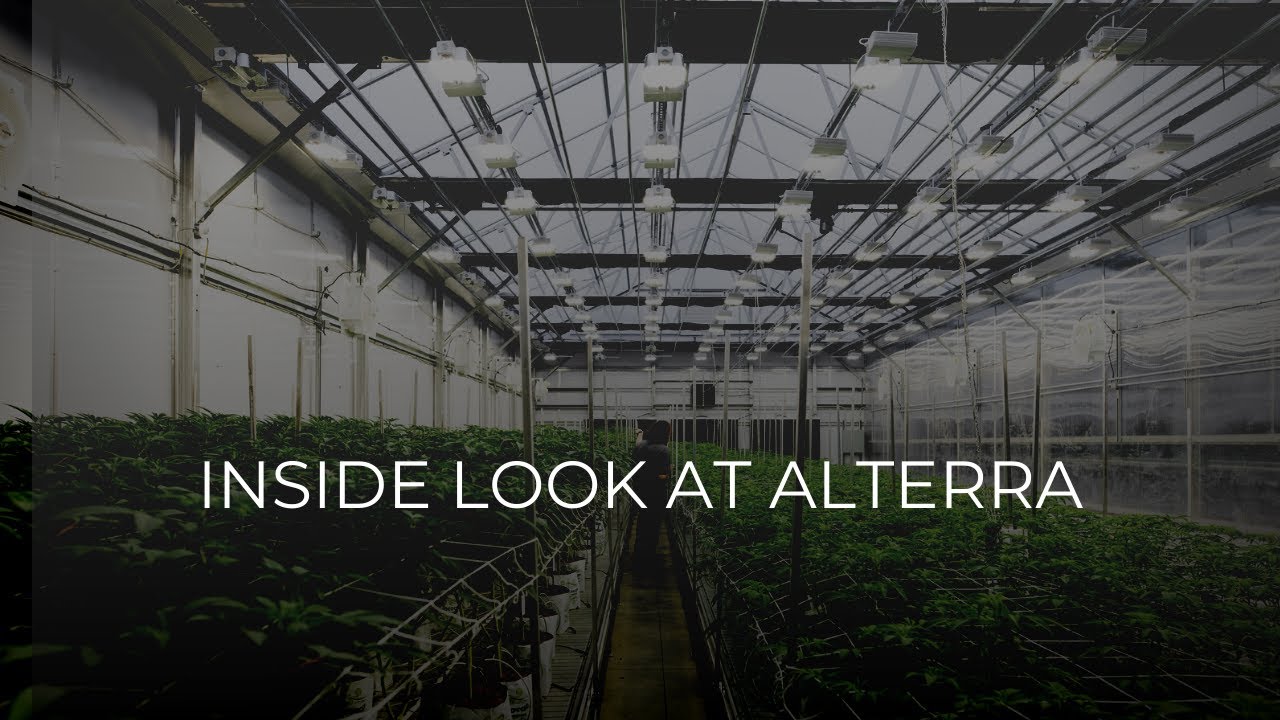 Oklahoma Medical Marijuana Cultivation- Alterra Wellness