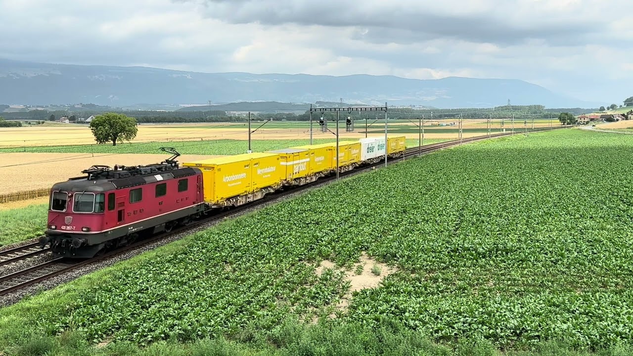 Suisse compilation train postaux