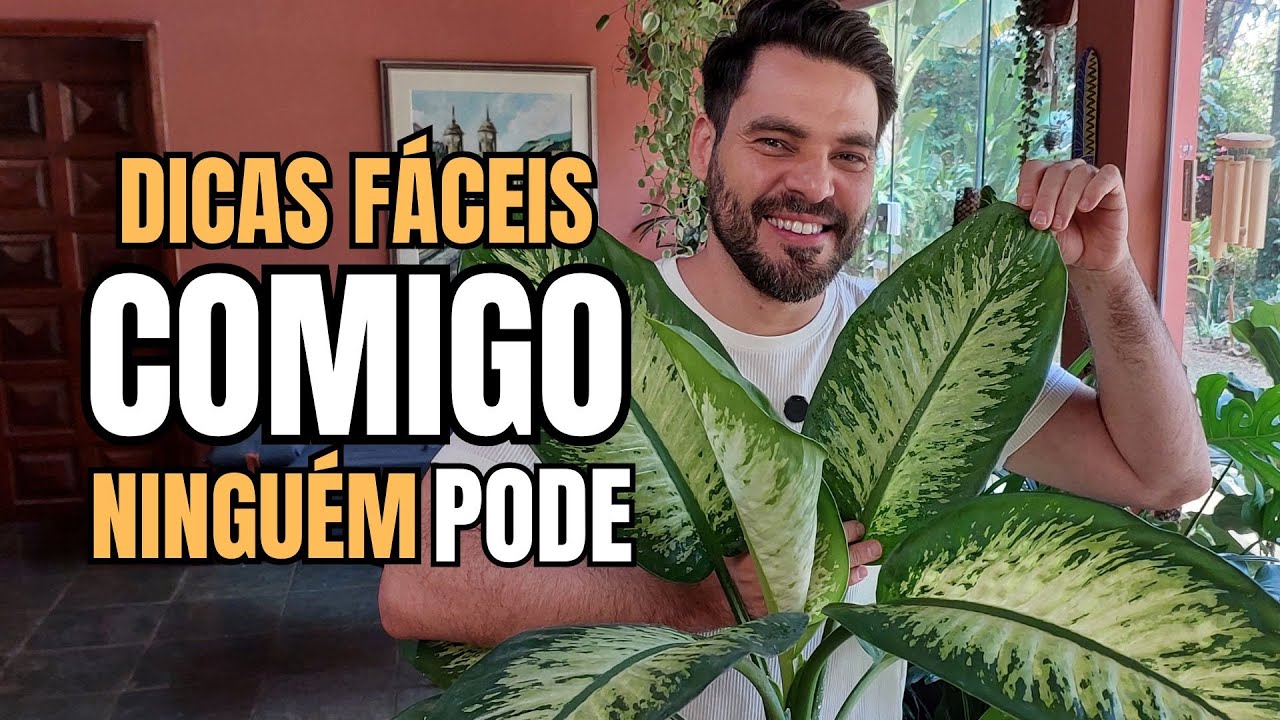 Comigo Ningu&eacute;m Pode Dicas F&aacute;ceis