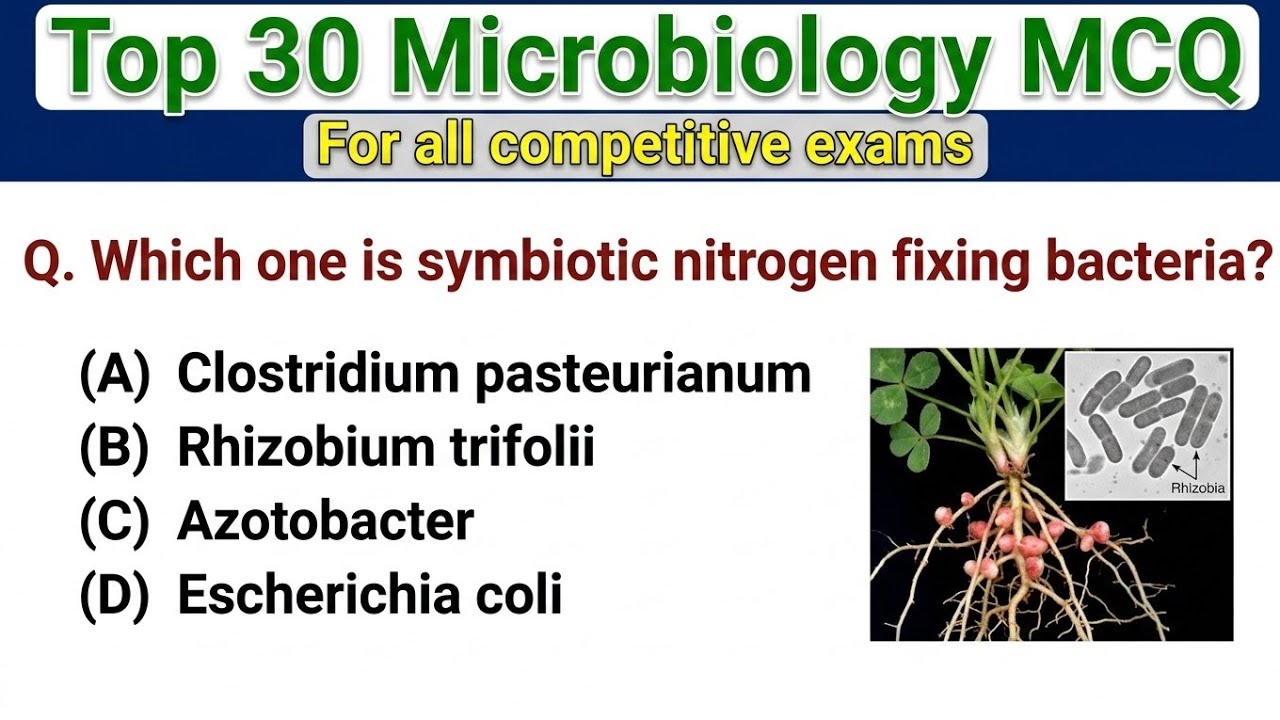 Microbiology MCQ Questions Answers | 30 Most Important Questions
