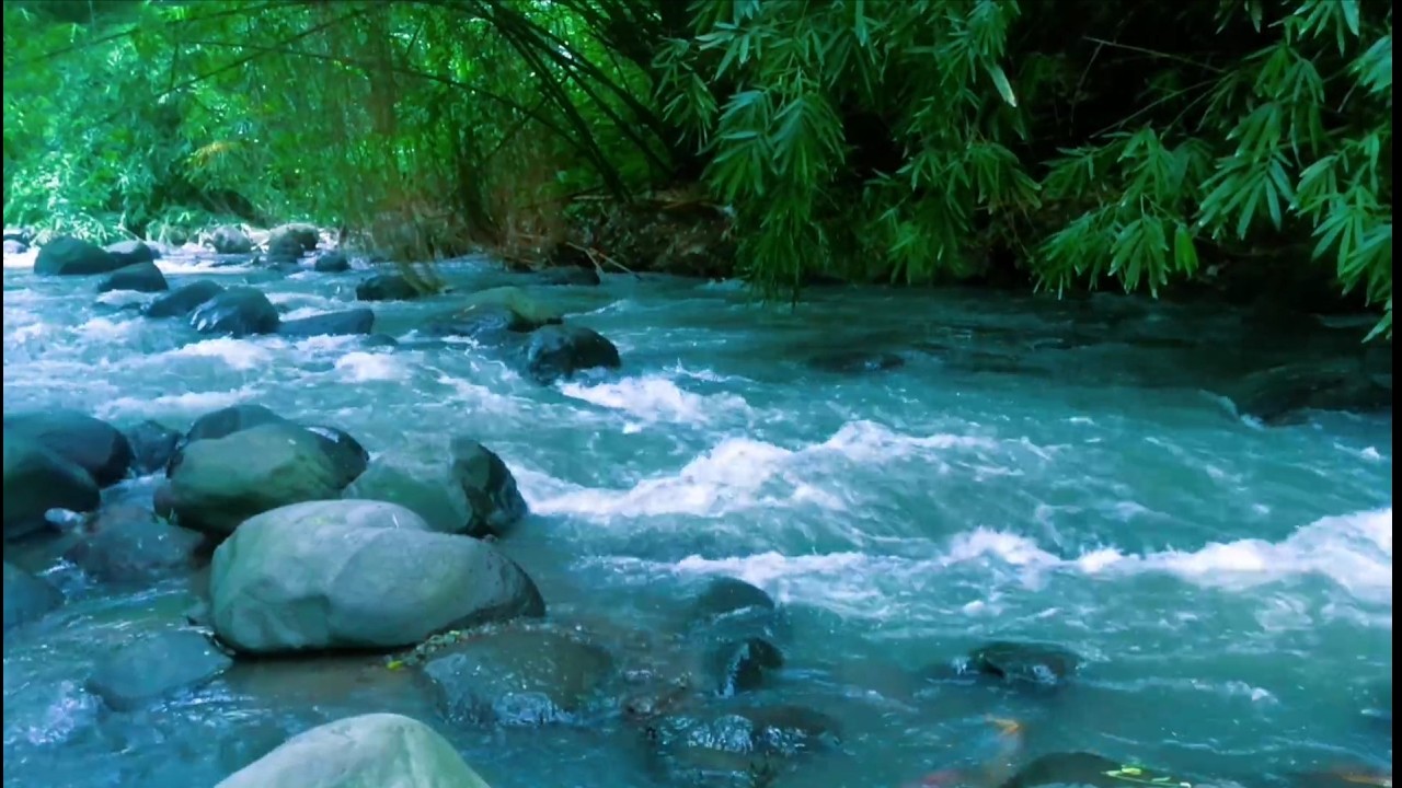 Relaxing River Sound emotional therapy to relieve stress and mental disorders for sleeping.