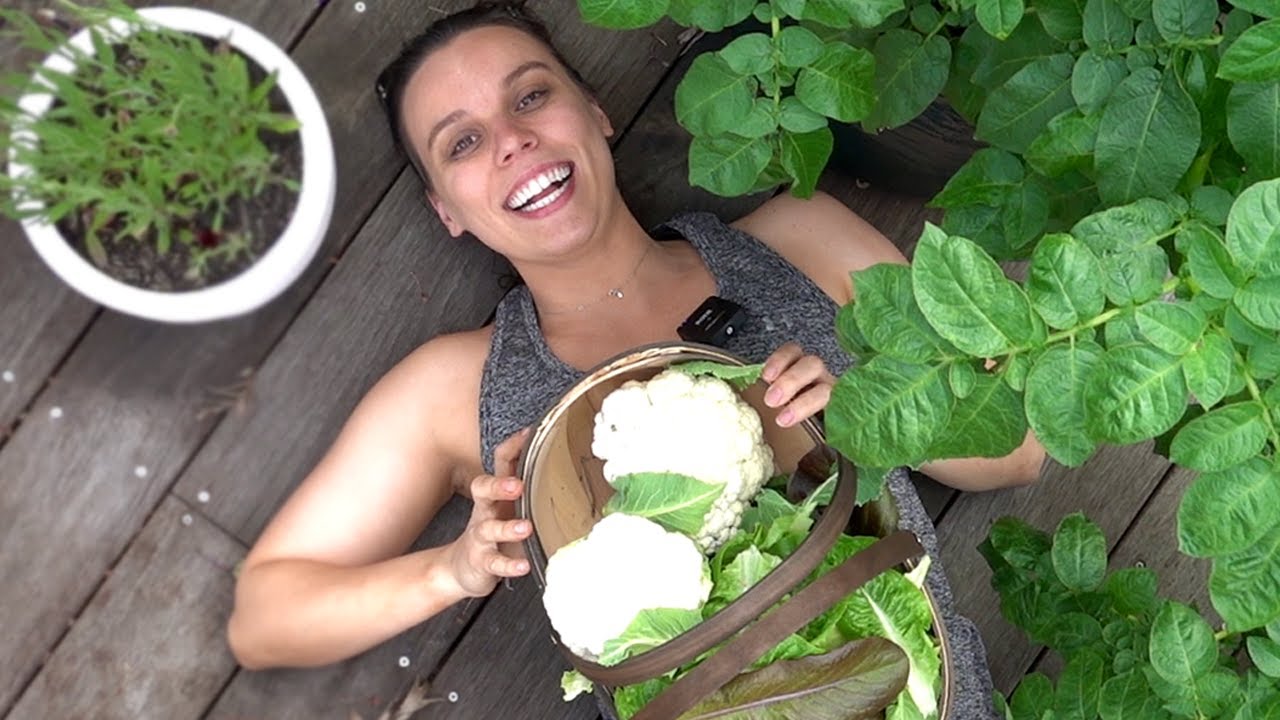 Cooking from my Australian garden