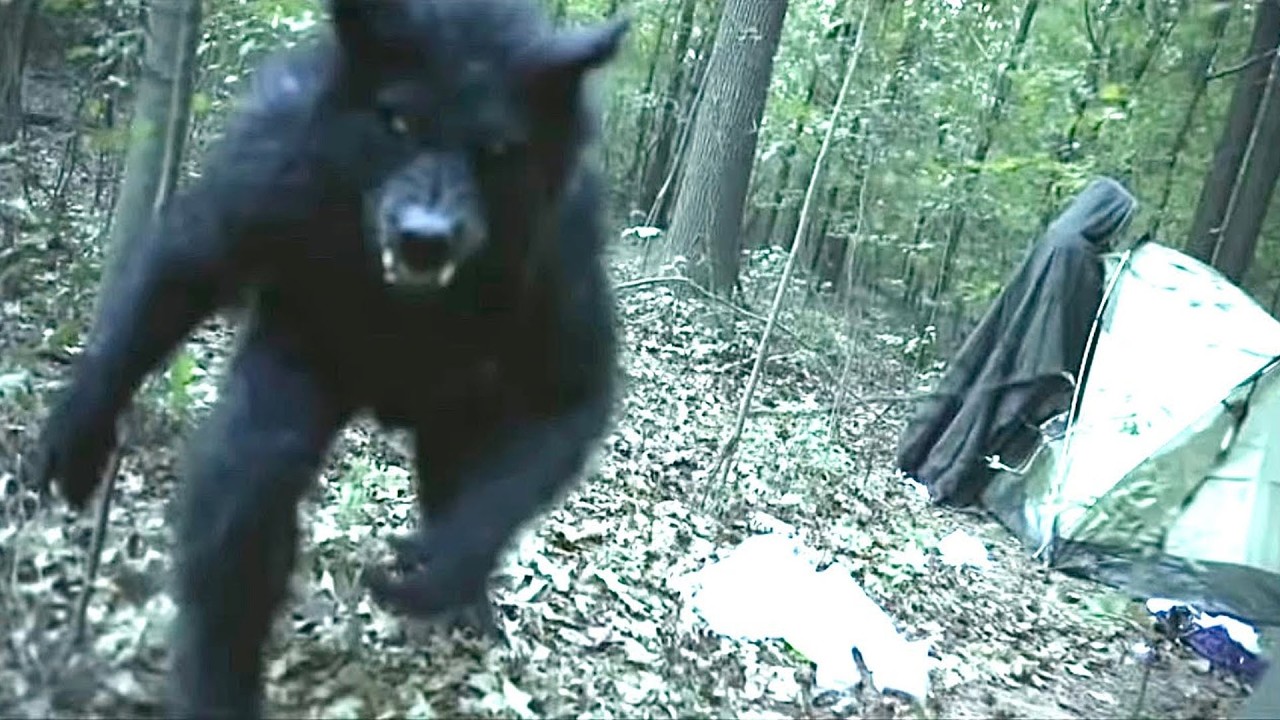 Trail Camera Footage That Investigators Can’t Explain