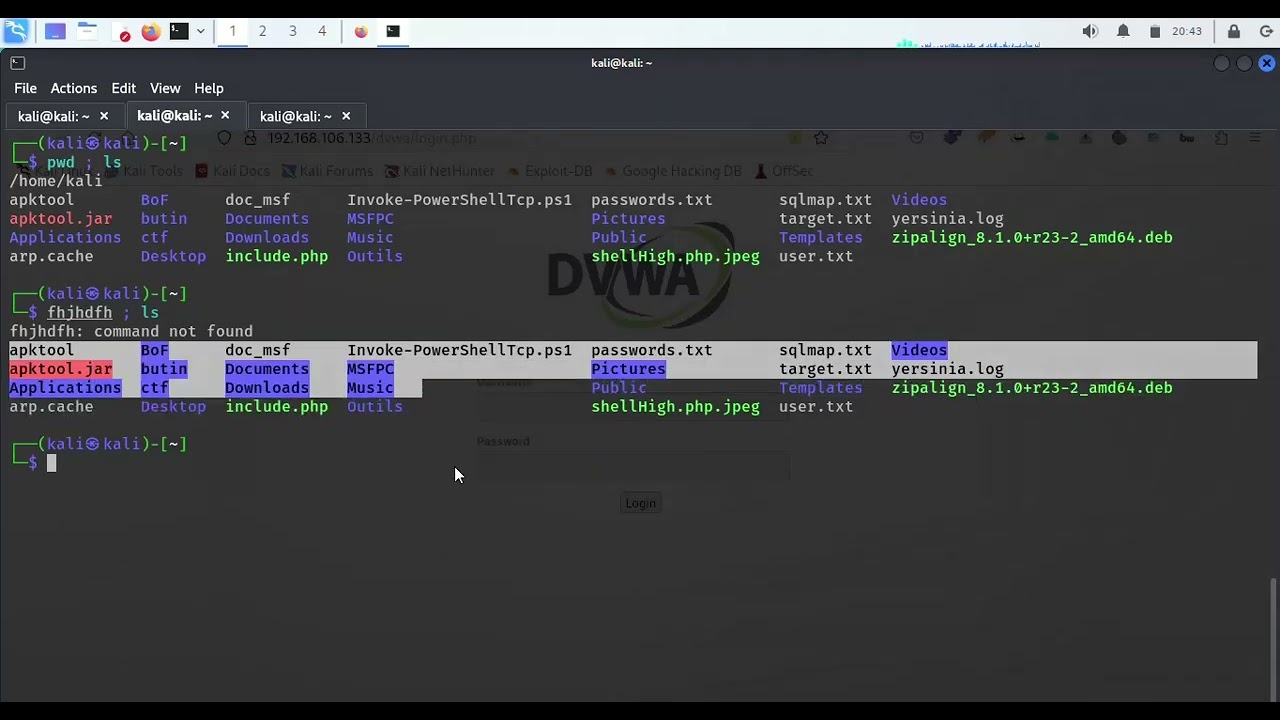 DVWA   Command Injection