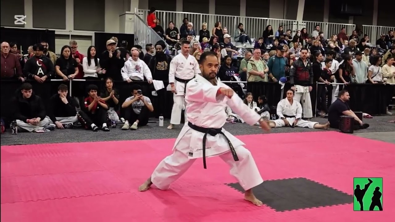 Alex Capicio 🇨🇦 - Men’s 35+ Hardstyle Forms | 2025 WKC World Championships