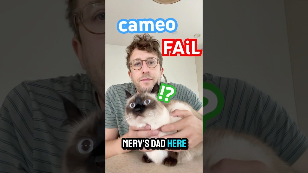 worst cameo fail ever #bagagwa #mervthecat #catsofyoutube #surprise #backtoschool