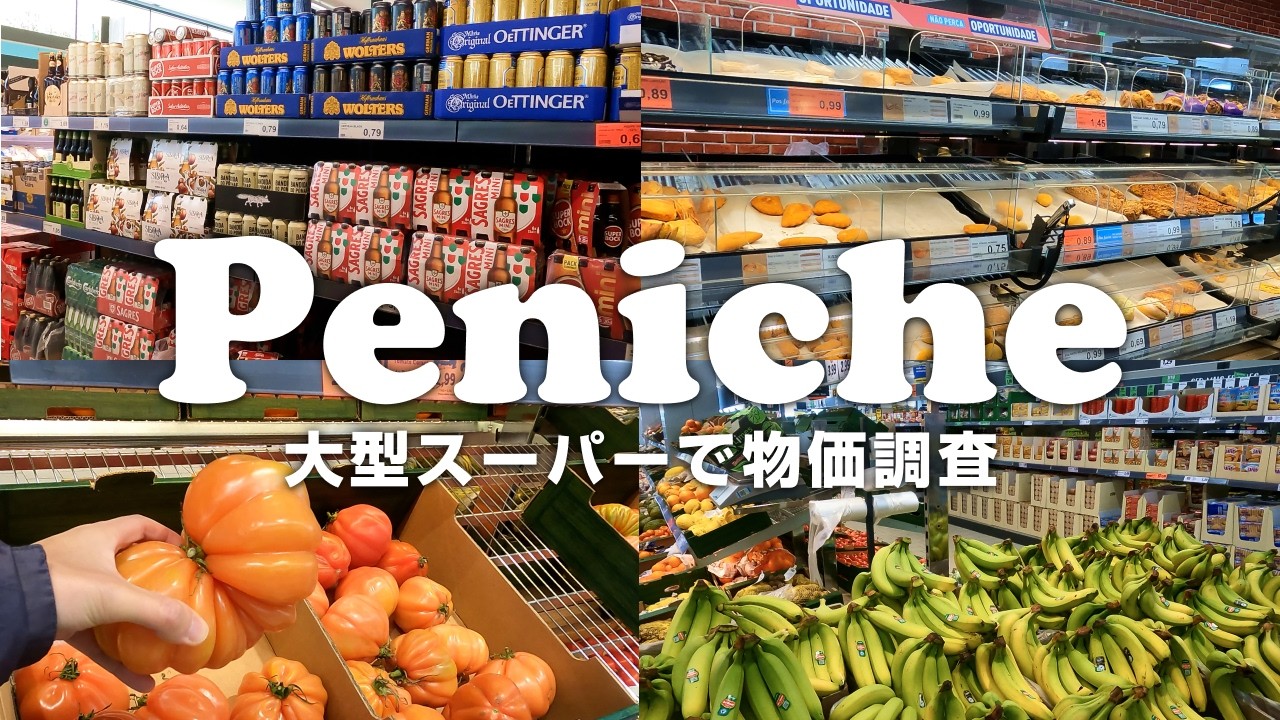 【ポルトガル】大型スーパーで物価調査💰LIDLとALDIに潜入☺️ (4K)