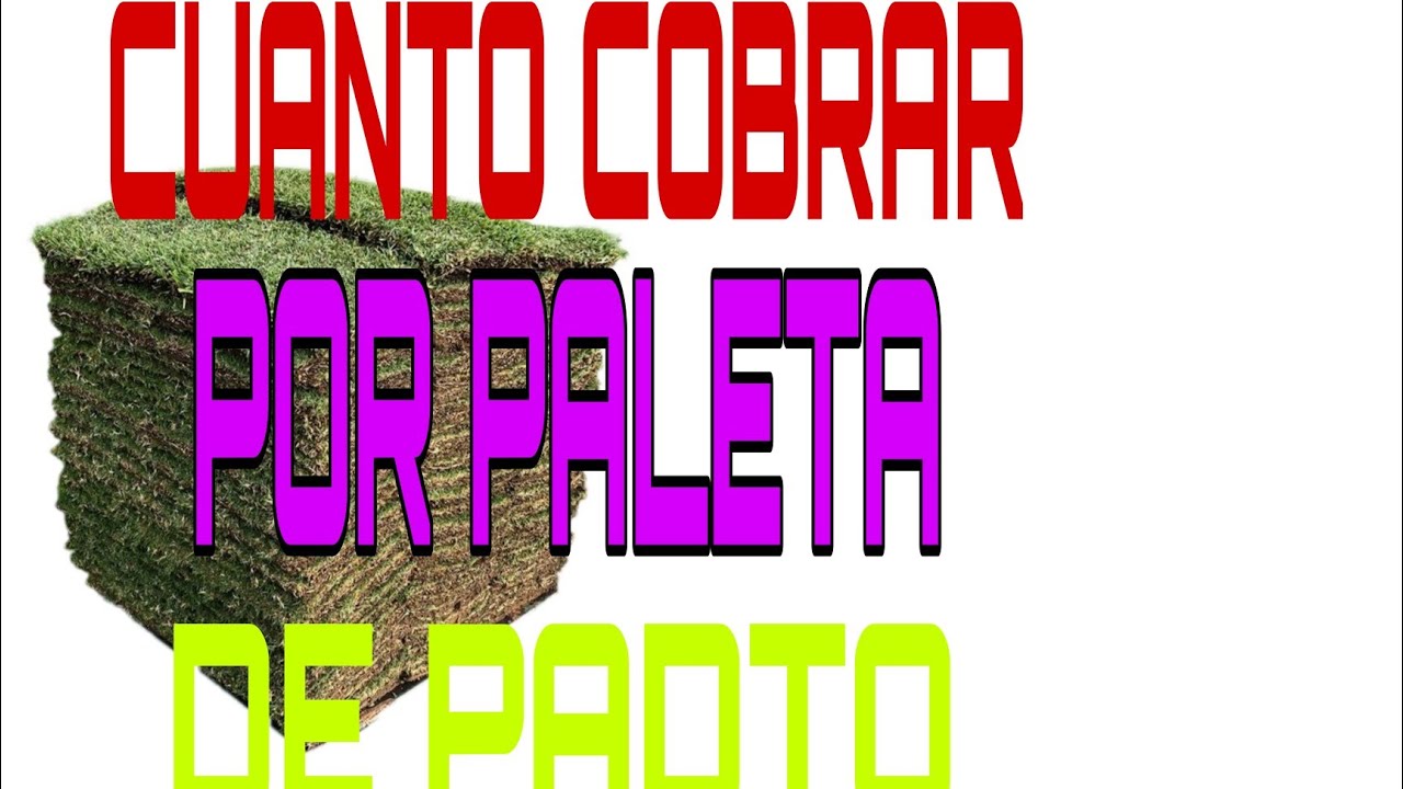 CUANTO COBRAR POR PALETA DE PASTO