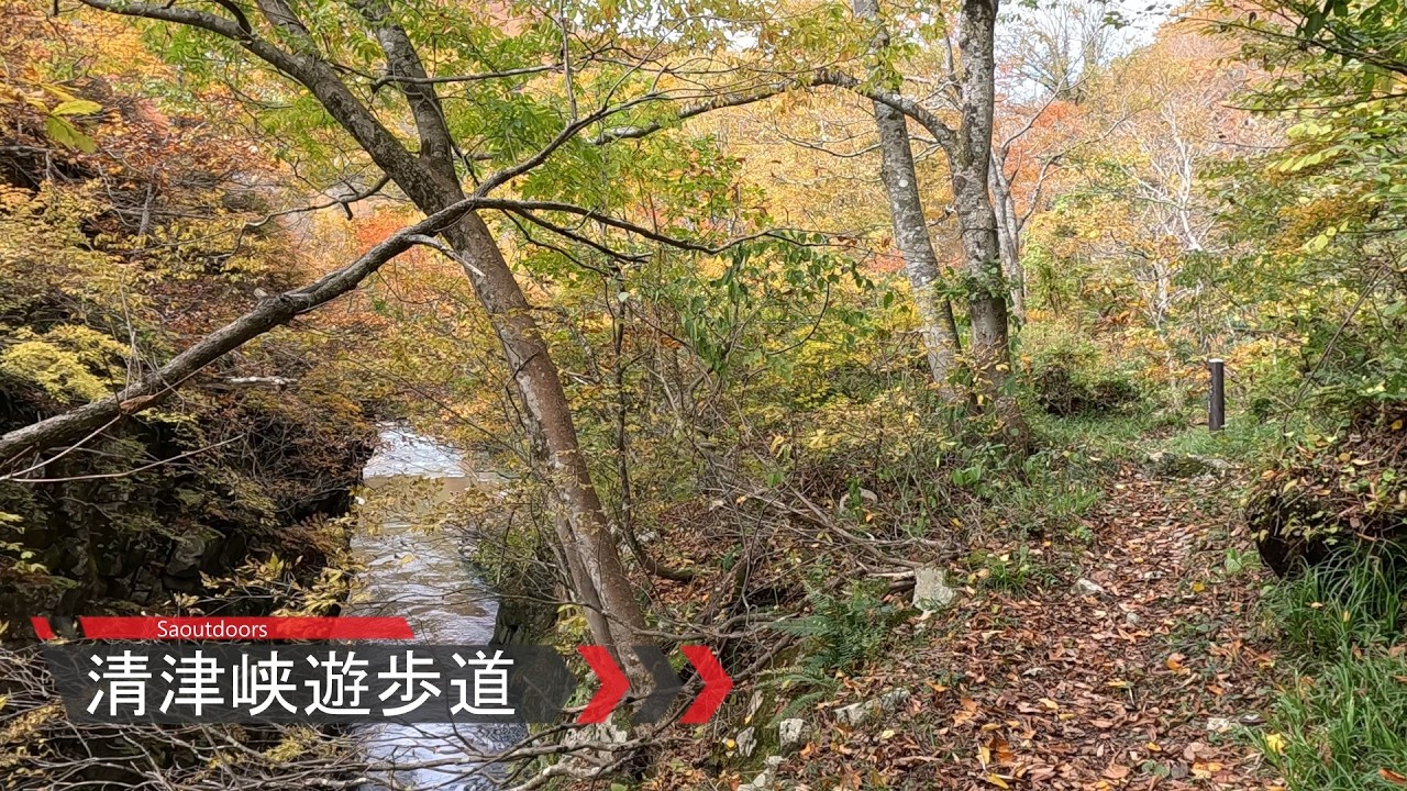 紅葉の清津峡遊歩道（トレッキング湯沢１）
