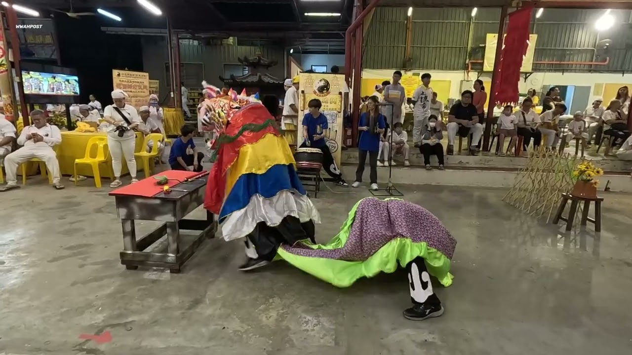unicorn dragon dance performance at sabah temple