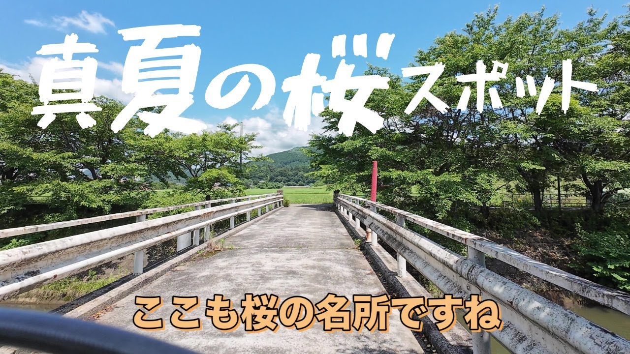 奈良の超有名定番お花見桜スポットへわざわざ真夏に行ったら地獄だった