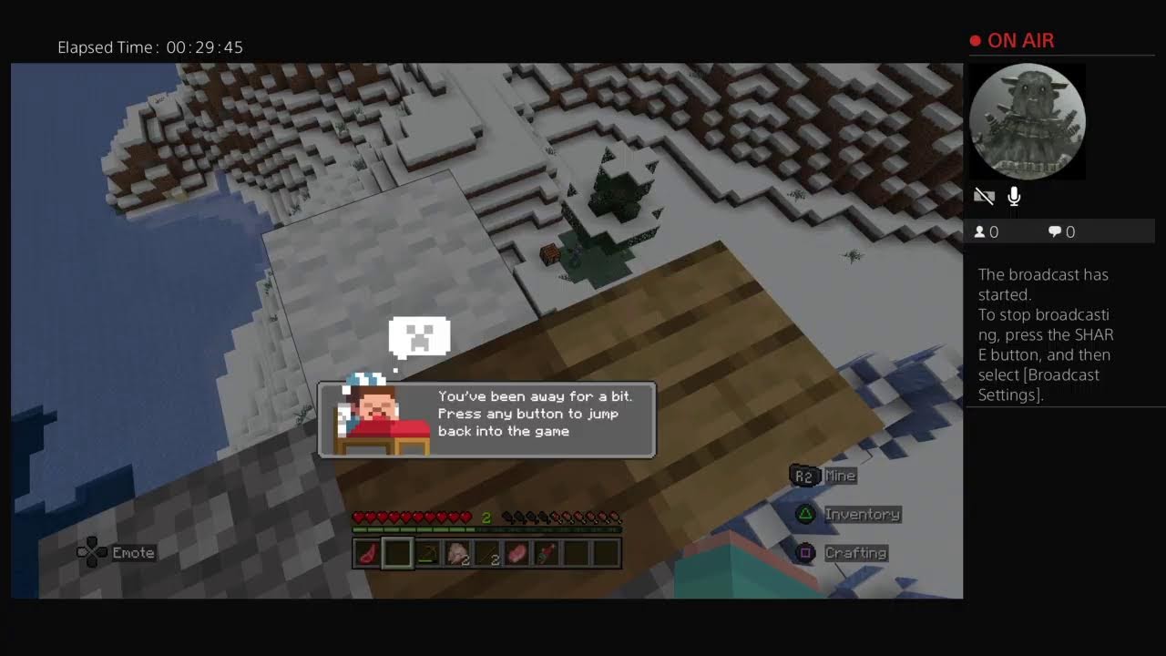 Playing minecraft