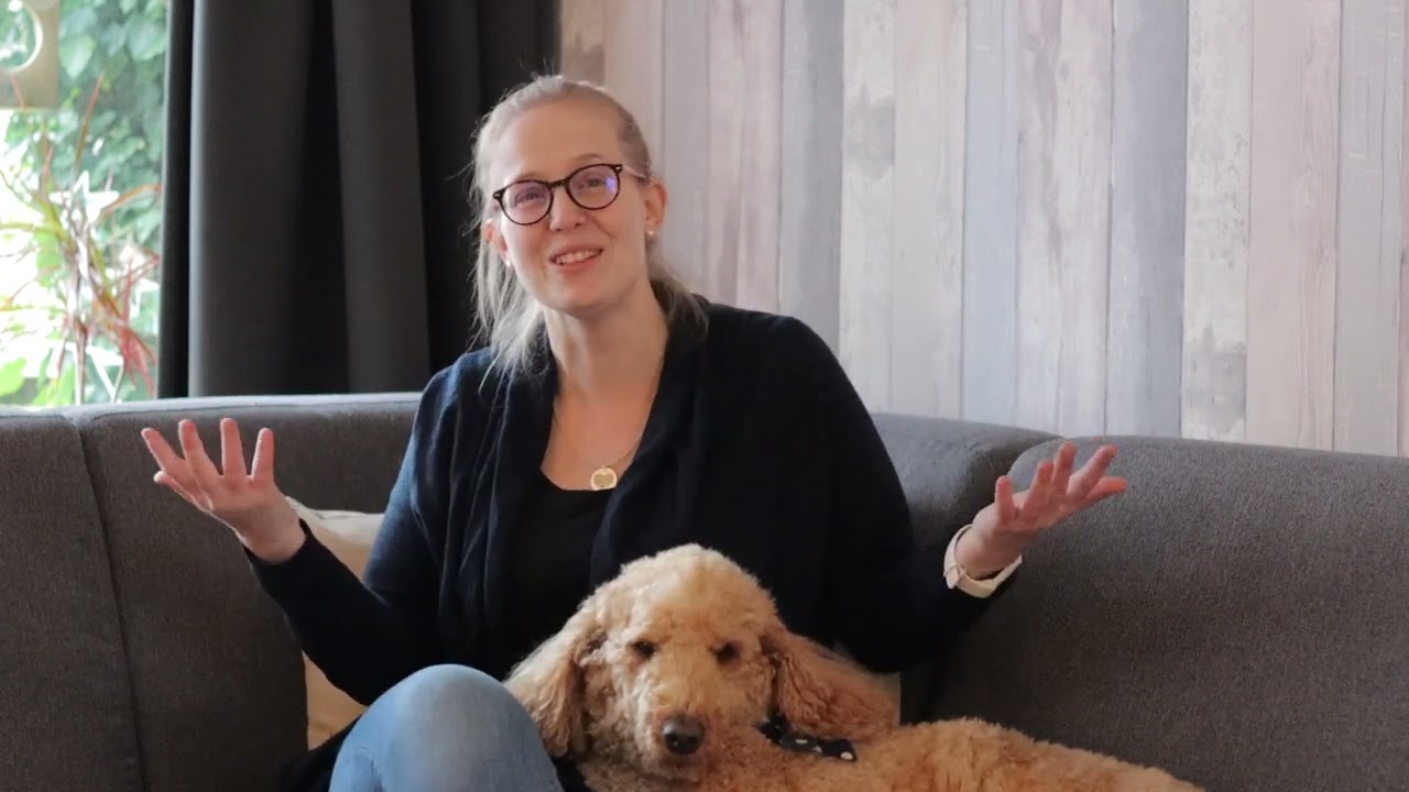 Hulphond opleiding - Hulphond Nederland. Van puppie tot werkende hulphond!