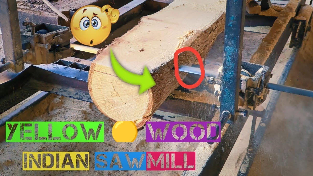 Yellow Wood with Quality cutting at Indian wood mill | Homemade sawmill wood