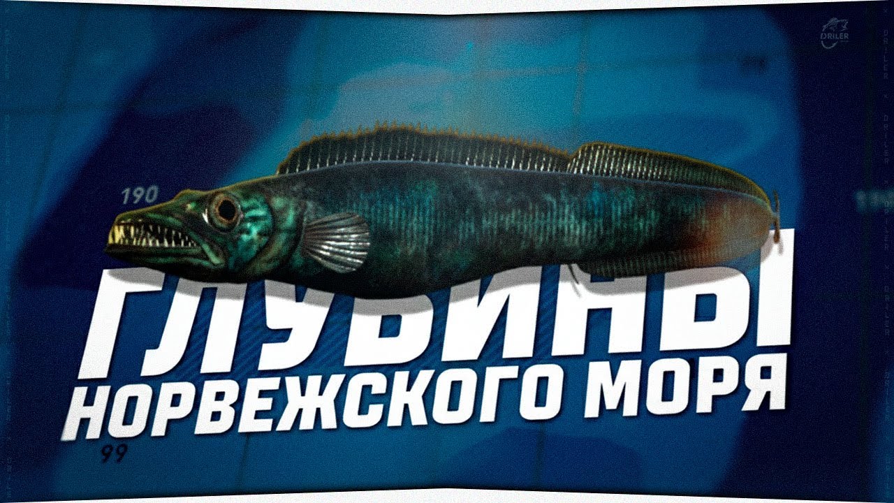 Ловля перчиками на глубинах Норвежского моря &bull; RUSSIAN FISHING 4