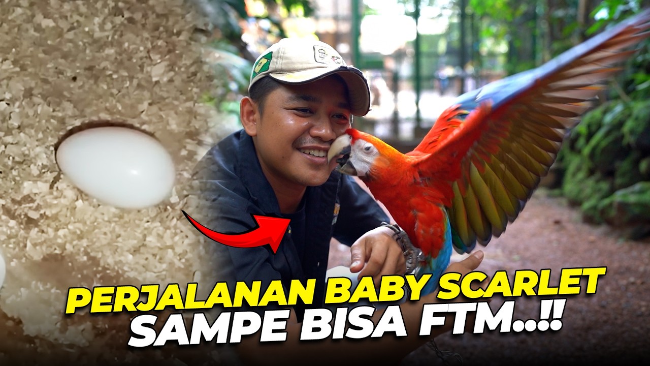PERJALANAN PANJANG BABY SCARLET AKHIRNYA BISA FTM..!!