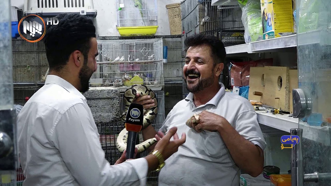 په‌یامی تۆ - به‌خێوكردنی باڵنده‌ و مه‌ڕ و ماڵات