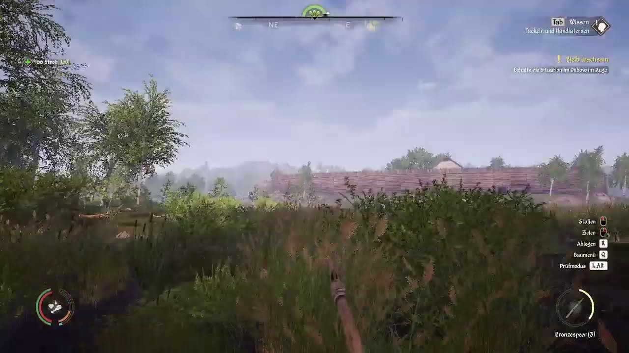 Medieval Dunasty ein Dorf entsteht