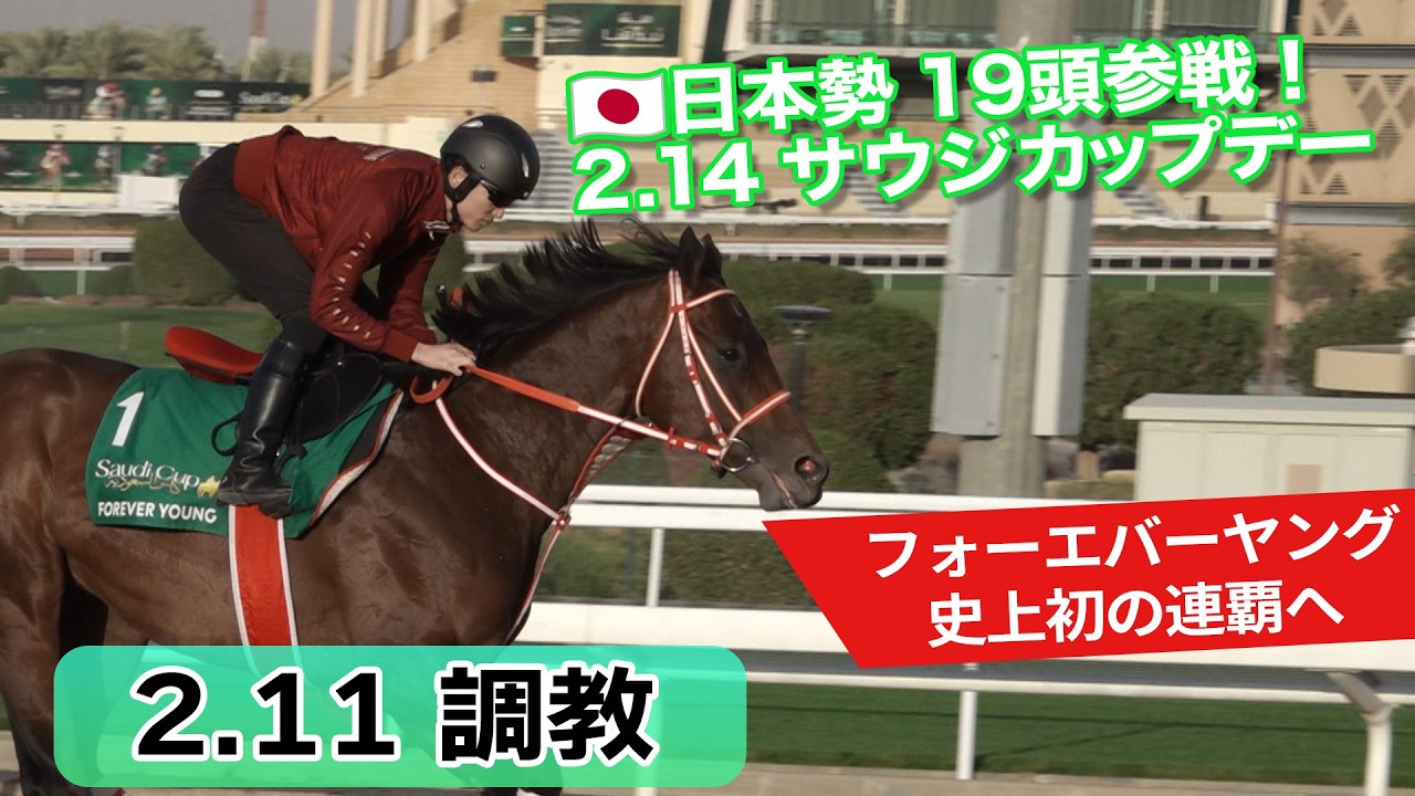【2026サウジカップデー】史上初のサウジカップ連覇を目指すフォーエバーヤングら日本から19頭が参戦！2.11調教・日本馬の模様