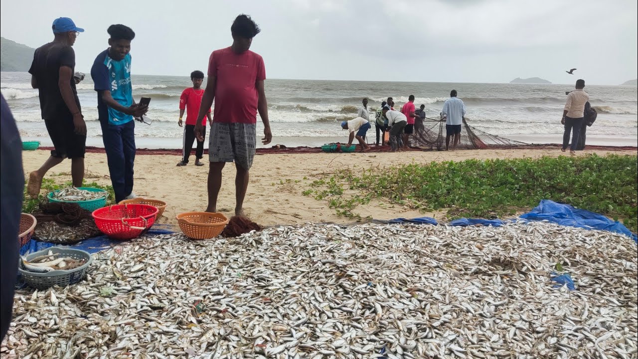 TRADITIONAL FISHING IN KARWAR