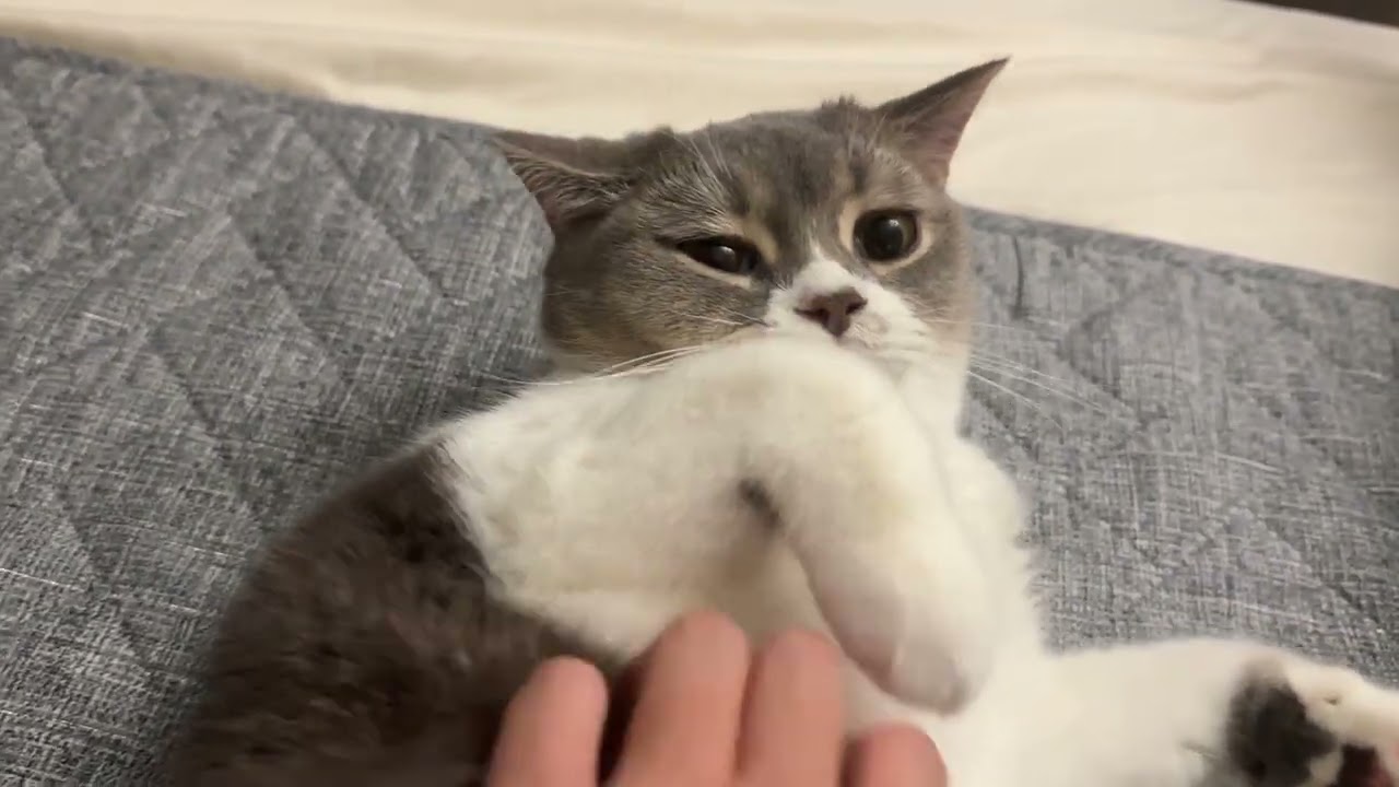 Leave me alone